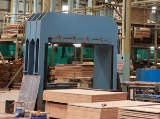 Cold Press Plywood