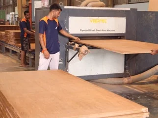Sanding Plywood
